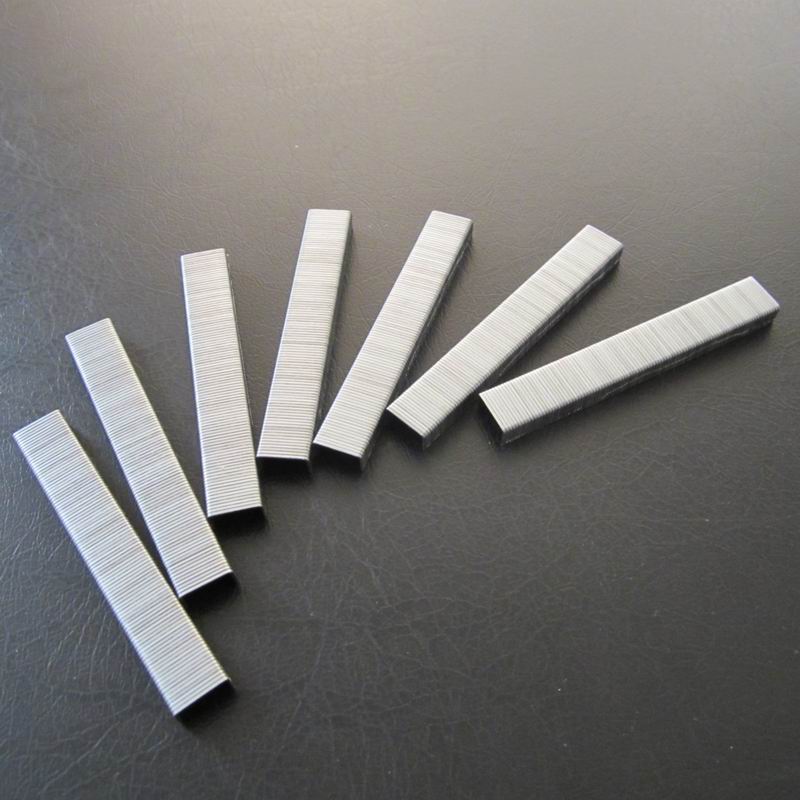 13  staple